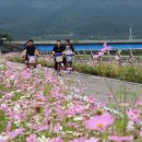 마동유원지 음악분수대 이미지