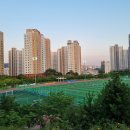 수지체육공원 농구장 이미지