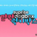 럭키도그 네이버블로그
