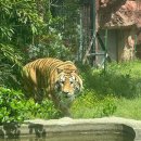 광주광역시 우치동물원 동물병원 이미지