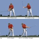 그린골프스쿨 이미지