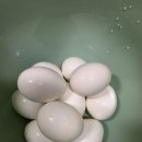 요즘 미쿡산 계란만 쓰는데 뱀 알 같음 이미지