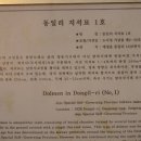 동일리 지석묘 1호 이미지