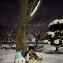 지코바신가점