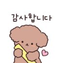 펫 소울메이트 이미지