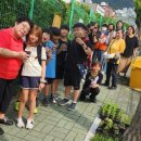 포천초등학교 이미지