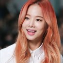 솔지카페 이미지