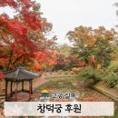 감성 | 창덕궁 후원 예약 홈페이지 현장 예매 가을 감성 후기
