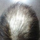 베스트상사 이미지