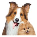 퍼스트 독 앤 캣 이미지