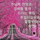 문길 이미지