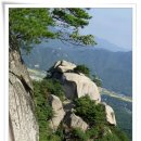 산지당골 앞 Daum카페