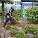 안청초등학교 이미지