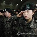 아라우 이미지