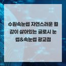 수원-0933 | 수원속눈썹 자연스러운 컬감이 살아있는 글로시 눈썹&amp;속눈썹 광교점