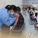 멍멍택시1 이미지