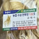 길가네금산인삼