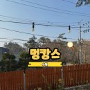 발라당 | 멍캉스: 단독 대관 애견운동장 수원 프라이빗 발라당 존 후기
