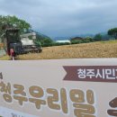 뉴스타트건강식품