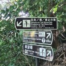 우리오토샾 | [후지산 렌터카 여행] 시라이토 폭포(白糸の滝) 음지폭포 전망대(音止の滝 展望台) 산책