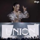 마이딩고