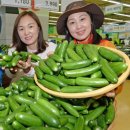 청계산로C 파이낸셜뉴스