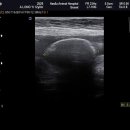 하슬라동물병원 이미지