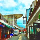 함평천지길 이미지