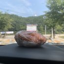 춘당한우농장 이미지