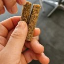 13살 비글도 반한 천연간식! 네츄럴스 도그트릿 치킨앤크랜베리 슈퍼푸드 스틱 후기🐶