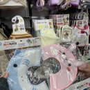 카라 | 🐾 첫 넥카라 도전기 | 가성비 최고 다이소 2천원 넥카라 후기