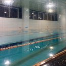 하이풀 스포츠 | 은평구 구파발수영장 하이풀스포츠 (기초 소그룹반 수강 후기)