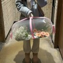 장미제일시장 | 부케(안개꽃, 거베라, 카라) 만들러 남대문 꽃시장 방문한 후기 :: 제일장미ㅣ미미꽃집ㅣ에덴화원 솔직후기
