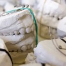 닥터권치과의원 이미지