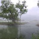 우두강둑길 이미지