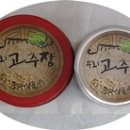 콩과샘물