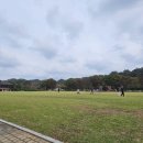 관촌면사무소 | [임실/관촌면/카페] 포레드노드 | 임실에 이런 좋은 곳이 있었네.. 사선대 뷰맛집 임실카페💚