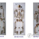 한국교구