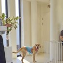 홈카페 브런치 B 이미지