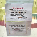 3744 | [천안 고양이카페]천안 두정동 야옹이네 고양이카페 | 실내데이트 방문후기 추천