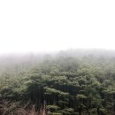 수리산도립공원 납덕골 이미지