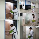 용인대 바른 태권도장 이미지