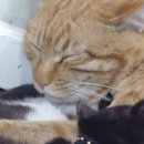 김윤영 농장 이미지