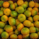 제주전통하우스 이미지