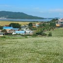 꽃마을로 이미지