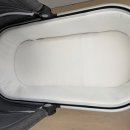 UPPAbaby Vista V2 유모차 (2022년 에삼) – Jordan 컬러 $700 팔아요 이미지