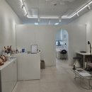 뷰티 앤 독 | 지축역 피부관리 잘하는 곳, 느보뷰티 장벽회복 관리 후기