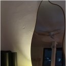 수원-0737 이미지