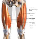 짐워너비 이미지