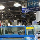 안양현대서비스㈜ | 안양 농수산물도매시장 싱싱한 제철해산물 맛집 “현대수산” 내돈내산 솔직후기